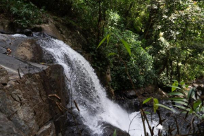 Nature1 Coorg homestay
